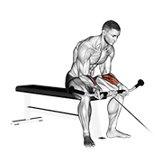 Cable Wrist Curl
