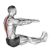 Spine Stretch