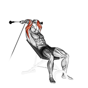 Cable Incline Triceps Extension