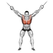 Cable Standing Fly