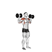 پرس سرشانه ایستاده با دمبل