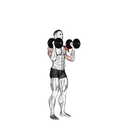 پرس داخل کف دستها با دمبل ایستاده
