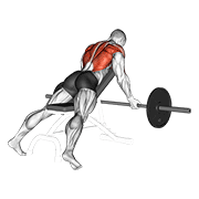 پارویی شیبدار با هالتر و گیرش معکوس