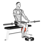 Barbell Seated Calf Raise V. 2