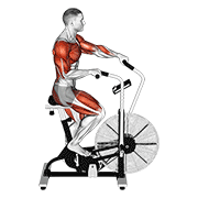 کراس ترینر Cycle